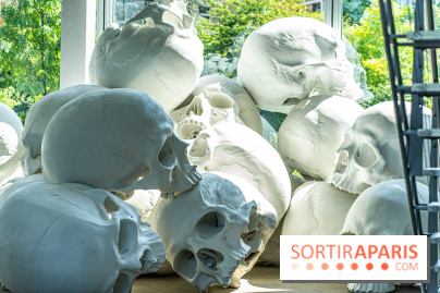 Exposition Ron Mueck à la Fondation Cartier 2023 -  A7C6443