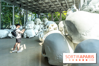 Exposition Ron Mueck à la Fondation Cartier 2023 -  A7C6359