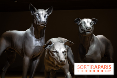 Exposition Ron Mueck à la Fondation Cartier 2023 -  A7C6437