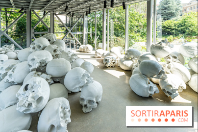 Exposition Ron Mueck à la Fondation Cartier 2023 -  A7C6388