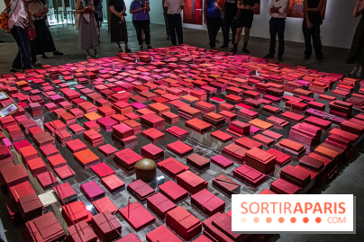 Expositions d'été au Palais de Tokyo Laura Lamiel