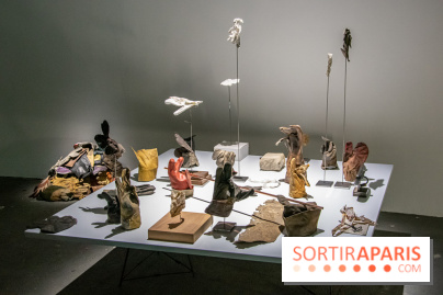 Expositions d'été au Palais de Tokyo Laura Lamiel