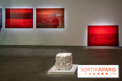 Expositions d'été au Palais de Tokyo Laura Lamiel