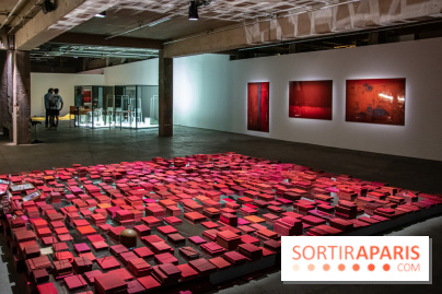 Expositions d'été au Palais de Tokyo Laura Lamiel