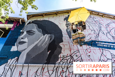 Street Art Avenue, l'expo street art le long du Canal Saint-Denis, d'Aubervilliers à Paris La Villette -  A7C6235