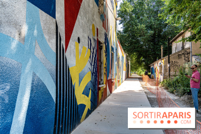 Street Art Avenue, l'expo street art le long du Canal Saint-Denis, d'Aubervilliers à Paris La Villette -  A7C6255