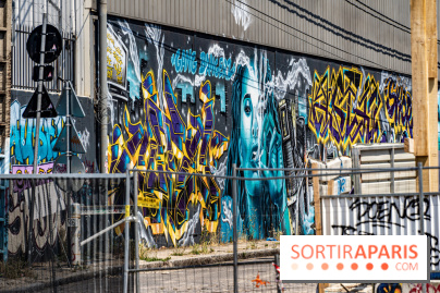 Street Art Avenue, l'expo street art le long du Canal Saint-Denis, d'Aubervilliers à Paris La Villette -  A7C6268