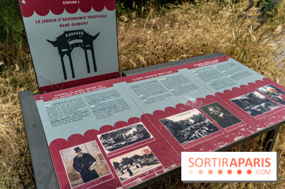 Jardin d'Agronomie Tropicale, le jardin exotique à Paris -  A7C6803
