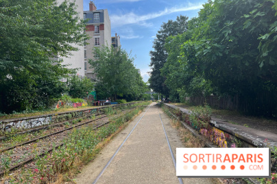 Petite Ceinture du 12e - IMG 3455