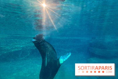 Nocturnes au Parc Zoologique de Paris - IMG 3469