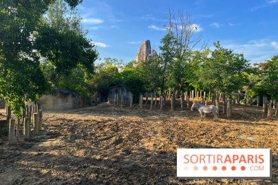 Nocturnes au Parc Zoologique de Paris - IMG 3495