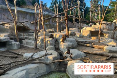 Nocturnes au Parc Zoologique de Paris - IMG 3517