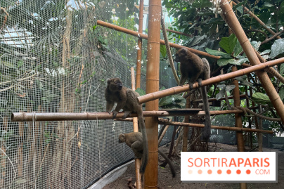Nocturnes au Parc Zoologique de Paris - IMG 3544