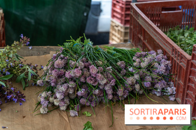 Escapade au Marché, le cours de cuisine du Ritz -  A7C5252
