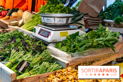 Escapade au Marché, le cours de cuisine du Ritz -  A7C5258