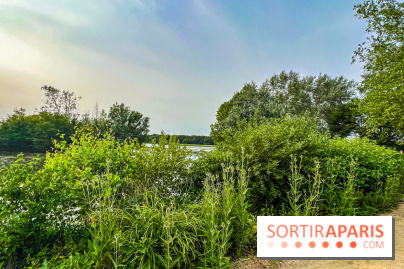 Base de loisirs de Saint-Quentin-en-Yvelines - Ile de loisirs de Trappes - activités - IMG 8659