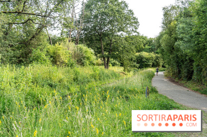 Base de loisirs de Saint-Quentin-en-Yvelines - Ile de loisirs de Trappes - activités -  A7C7324