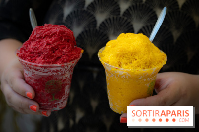 Granités-Neige de Jade Génin, l'Été Sous le Signe du Kakigori Réinventé -  A7C7553