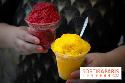 Granités-Neige de Jade Génin, l'Été Sous le Signe du Kakigori Réinventé -  A7C7556