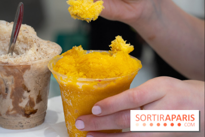 Granités-Neige de Jade Génin, l'Été Sous le Signe du Kakigori Réinventé -  A7C7575