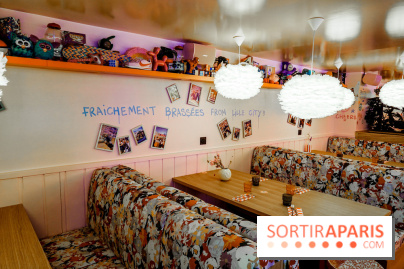 Brique Machine, nos photos - DSC01931 2