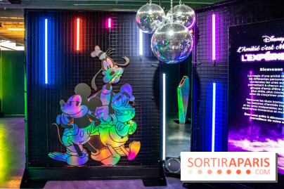 Disney 100 L'Amitié c'est Merveilleux