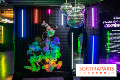 Disney 100 L'Amitié c'est Merveilleux