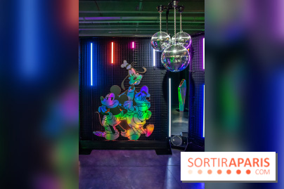 Disney 100 L'Amitié c'est Merveilleux