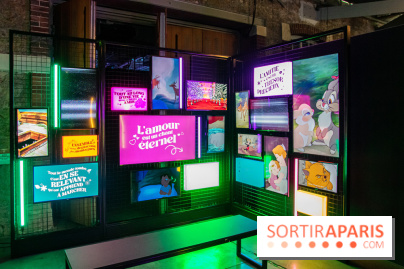 Disney 100 L'Amitié c'est Merveilleux