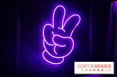 Disney 100 L'Amitié c'est Merveilleux