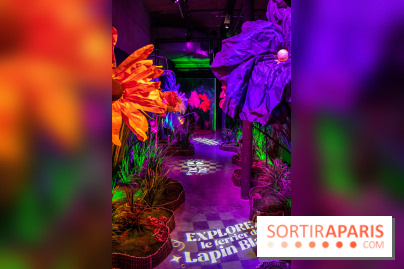 Disney 100 L'Amitié c'est Merveilleux