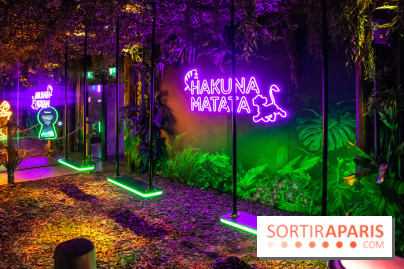 Disney 100 L'Amitié c'est Merveilleux