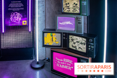 Disney 100 L'Amitié c'est Merveilleux