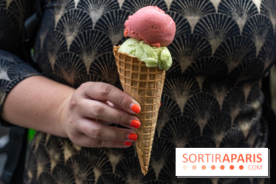 Le glacier Gérard Taurin à Paris - Meilleur Ouvrier de France -  A7C7590