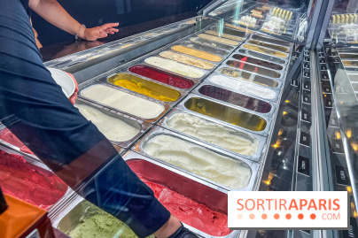 Le glacier Gérard Taurin à Paris - Meilleur Ouvrier de France - IMG 8725