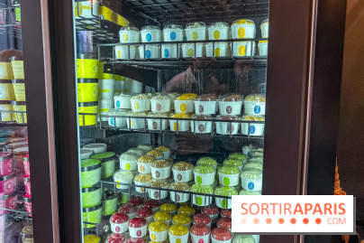 Le glacier Gérard Taurin à Paris - Meilleur Ouvrier de France - IMG 8726