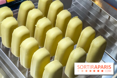 Le glacier Gérard Taurin à Paris - Meilleur Ouvrier de France - IMG 8728