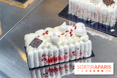 Le glacier Gérard Taurin à Paris - Meilleur Ouvrier de France - IMG 8729