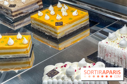 Le glacier Gérard Taurin à Paris - Meilleur Ouvrier de France - IMG 8730