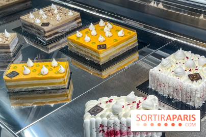 Le glacier Gérard Taurin à Paris - Meilleur Ouvrier de France - IMG 8731