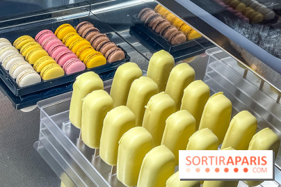 Le glacier Gérard Taurin à Paris - Meilleur Ouvrier de France - IMG 8732