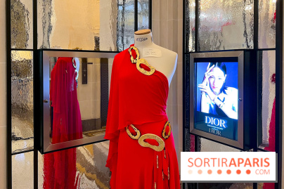 Exposition mode au Plaza Athénée pour la Fashion Week Haute Couture - image00002