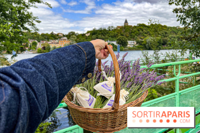 Fête de la Lavande sur le site Seine Aval Achères/Maisons-Laffitte