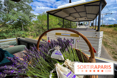 Fête de la Lavande sur le site Seine Aval Achères/Maisons-Laffitte - image00007