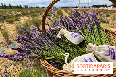 Fête de la Lavande sur le site Seine Aval Achères/Maisons-Laffitte - image00010