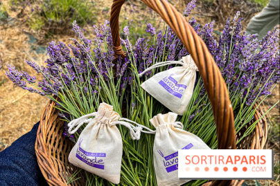 Fête de la Lavande sur le site Seine Aval Achères/Maisons-Laffitte - image00011