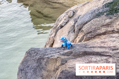 Disneyland Secrets visuels - World of Frozen bruni salamandre