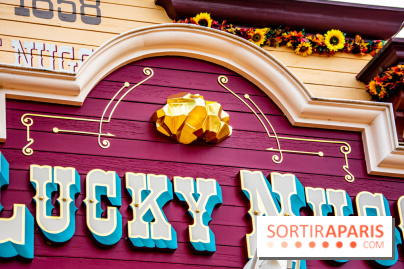 Disneyland Secrets visuels Lucky Nuggets