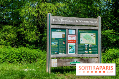 Balade nature dans la forêt de Montmorency, nos photos