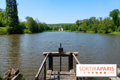 Balade nature dans la forêt de Montmorency, nos photos